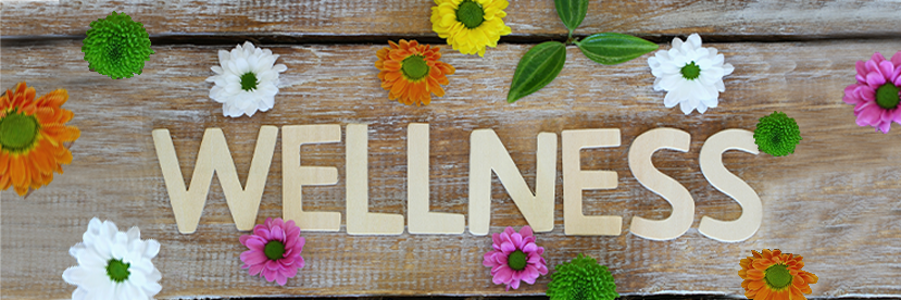 7 Wellness Classes for Seniors